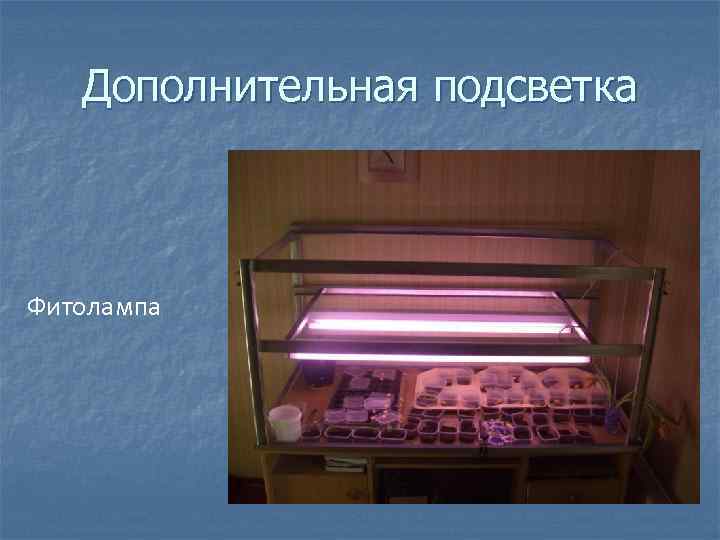 Дополнительная подсветка Фитолампа 