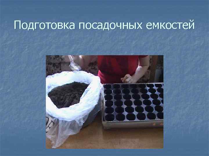 Подготовка посадочных емкостей 