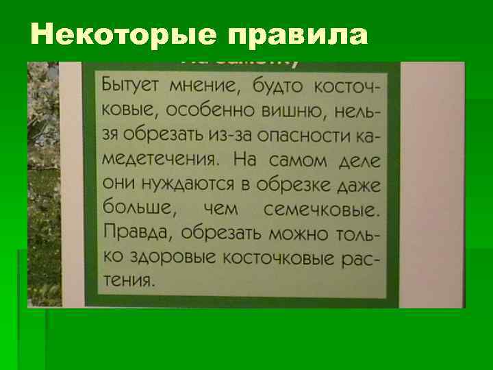 Некоторые правила 