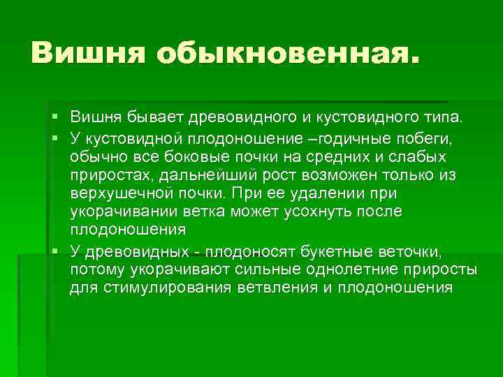 Вишня обыкновенная. § Вишня бывает древовидного и кустовидного типа. § У кустовидной плодоношение –годичные