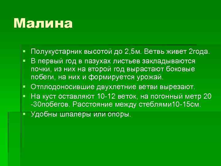 Малина § Полукустарник высотой до 2, 5 м. Ветвь живет 2 года. § В