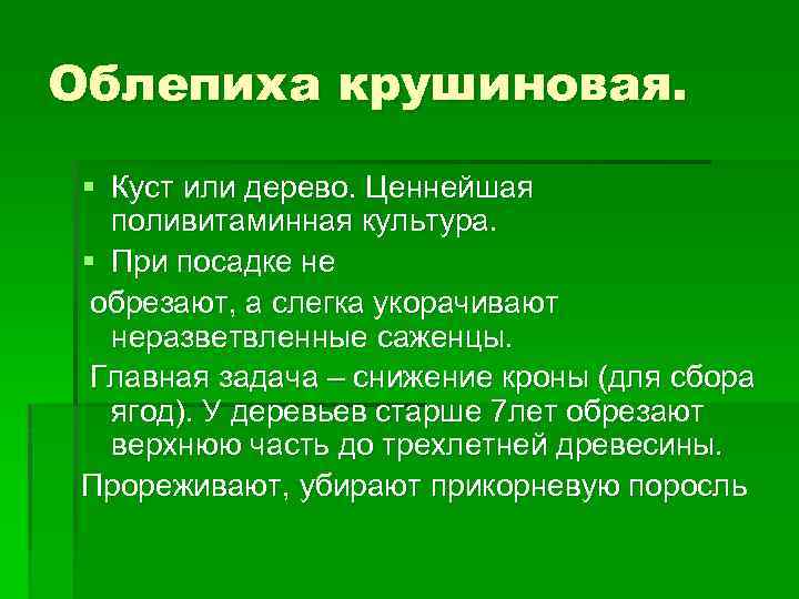 Облепиха крушиновая. § Куст или дерево. Ценнейшая поливитаминная культура. § При посадке не обрезают,