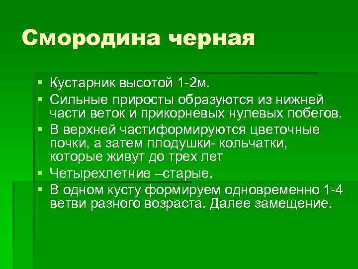 Смородина черная § Кустарник высотой 1 -2 м. § Сильные приросты образуются из нижней