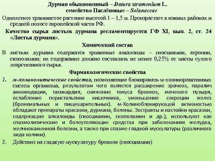 Дурман обыкновенный – Datura stramonium L. семейство Паслёновые – Solanaceae Однолетнее травянистое растение высотой