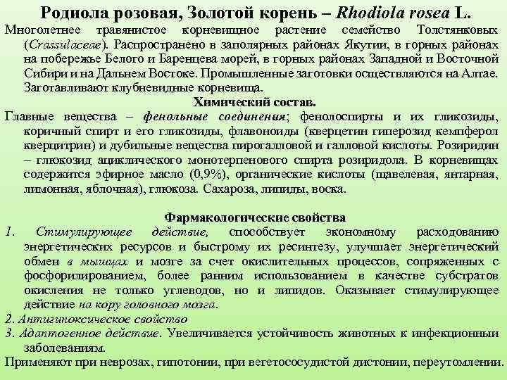 Родиола розовая, Золотой корень – Rhodiola rosea L. Многолетнее травянистое корневищное растение семейство Толстянковых