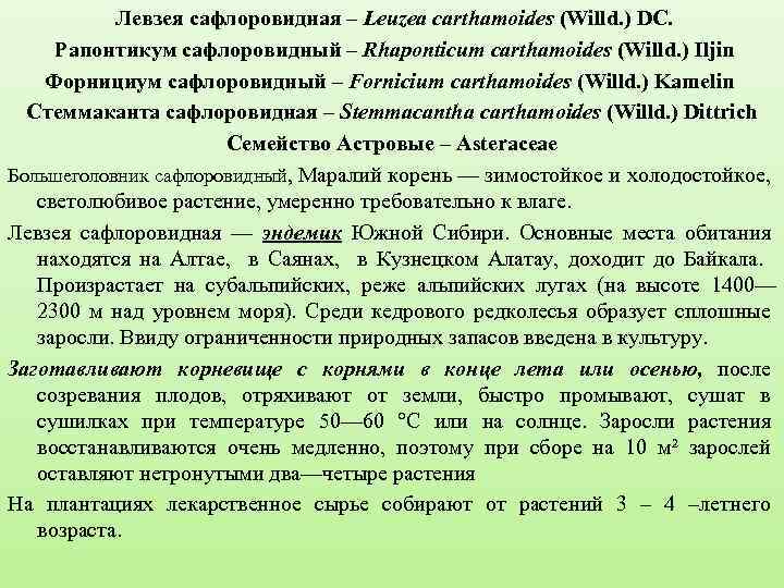 Левзея сафлоровидная – Leuzea carthamoides (Willd. ) DC. Рапонтикум сафлоровидный – Rhaponticum carthamoides (Willd.