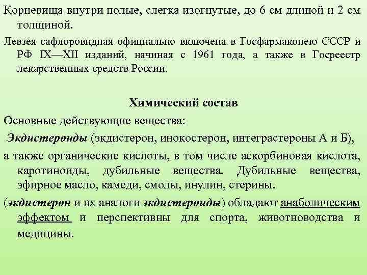 Корневища внутри полые, слегка изогнутые, до 6 см длиной и 2 см толщиной. Левзея