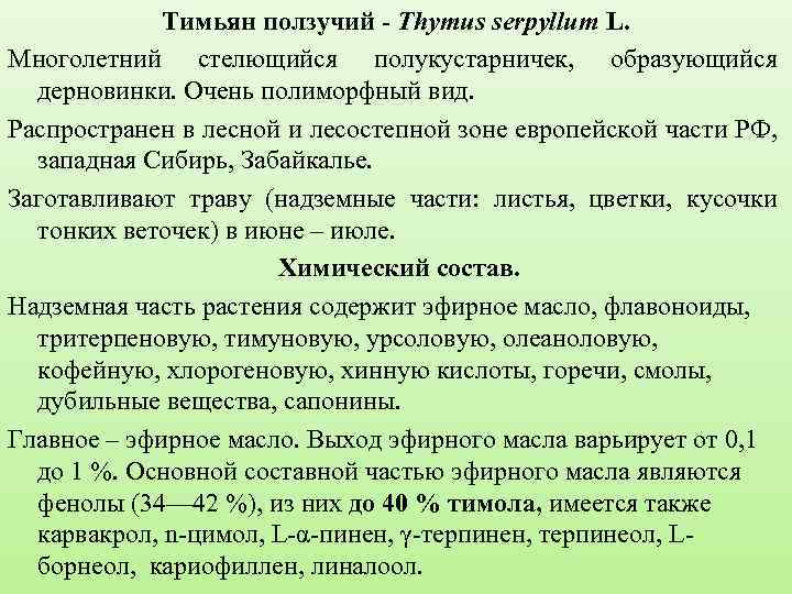 Тимьян ползучий - Thymus serpyllum L. Многолетний стелющийся полукустарничек, образующийся дерновинки. Очень полиморфный вид.