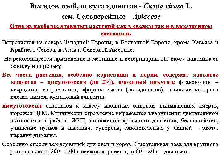 Вех ядовитый, цикута ядовитая - Cicuta virosa L. сем. Сельдерейные – Apiaceae Одно из