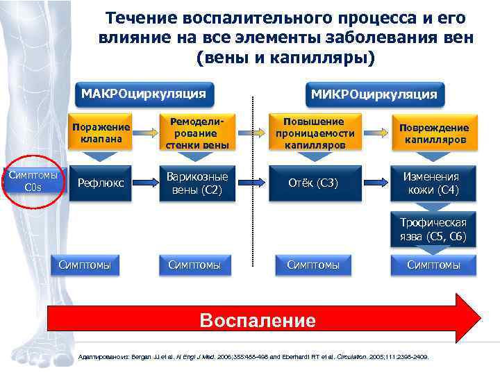 Течение воспалительного процесса и его влияние на все элементы заболевания вен (вены и капилляры)