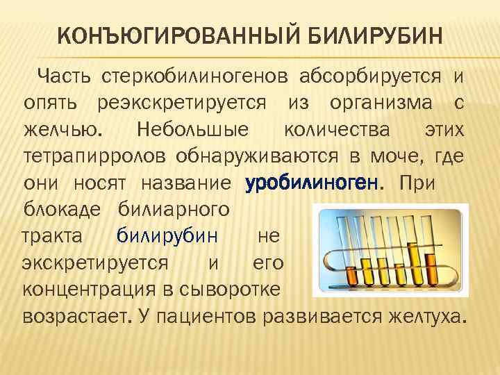 КОНЪЮГИРОВАННЫЙ БИЛИРУБИН Часть стеркобилиногенов абсорбируется и опять реэкскретируется из организма с желчью. Небольшые количества