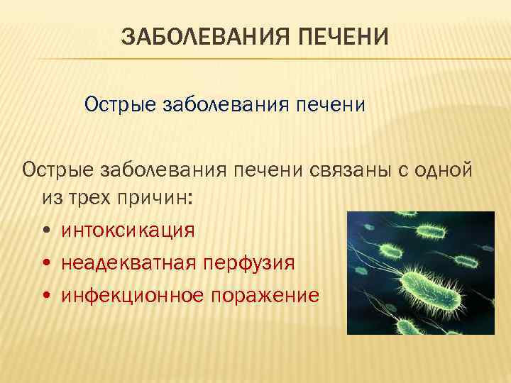 ЗАБОЛЕВАНИЯ ПЕЧЕНИ Острые заболевания печени связаны с одной из трех причин: • интоксикация •