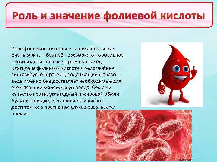 Роль и значение фолиевой кислоты Роль фолиевой кислоты в нашем организме очень важна –