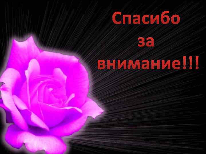 Спасибо за внимание!!! 