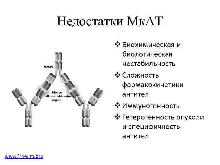 Применение моноклональных антител в стоматологии презентация