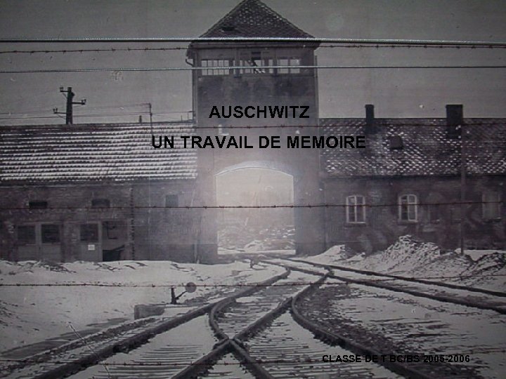 AUSCHWITZ UN TRAVAIL DE MEMOIRE CLASSE DE T BC/BS 2005 -2006 