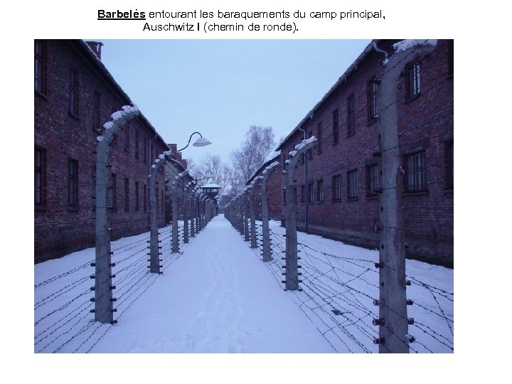  Barbelés entourant les baraquements du camp principal, Auschwitz I (chemin de ronde). 