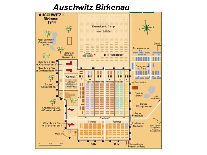 Auschwitz Birkenau 