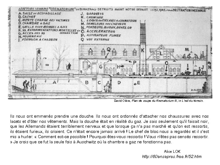 David Olère, Plan de coupe du Krematorium III, in L’œil du témoin. Ils nous