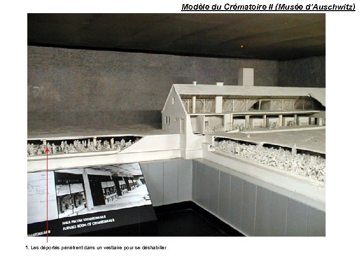 Modèle du Crématoire II (Musée d’Auschwitz) 1. Les déportés pénètrent dans un vestiaire pour