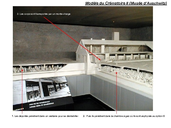 Modèle du Crématoire II (Musée d’Auschwitz) 3. Les corps sont transportés par un monte-charge