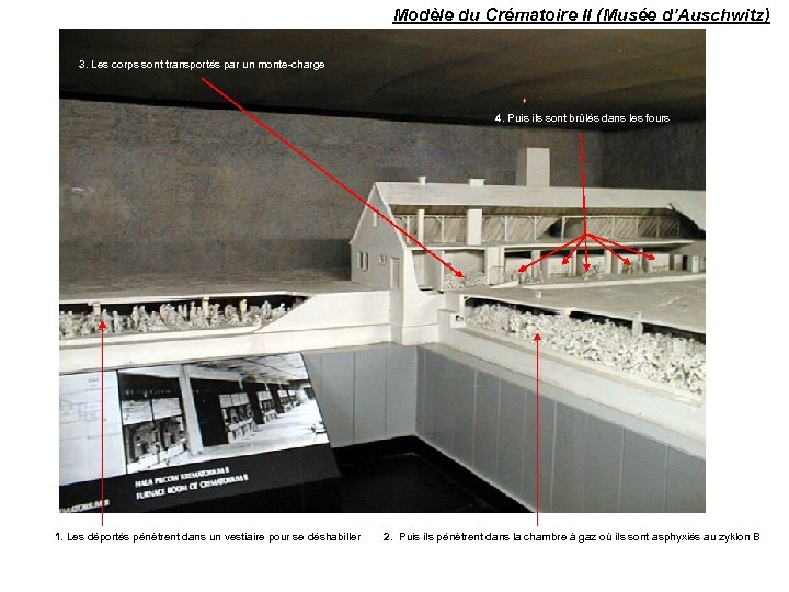 Modèle du Crématoire II (Musée d’Auschwitz) 3. Les corps sont transportés par un monte-charge