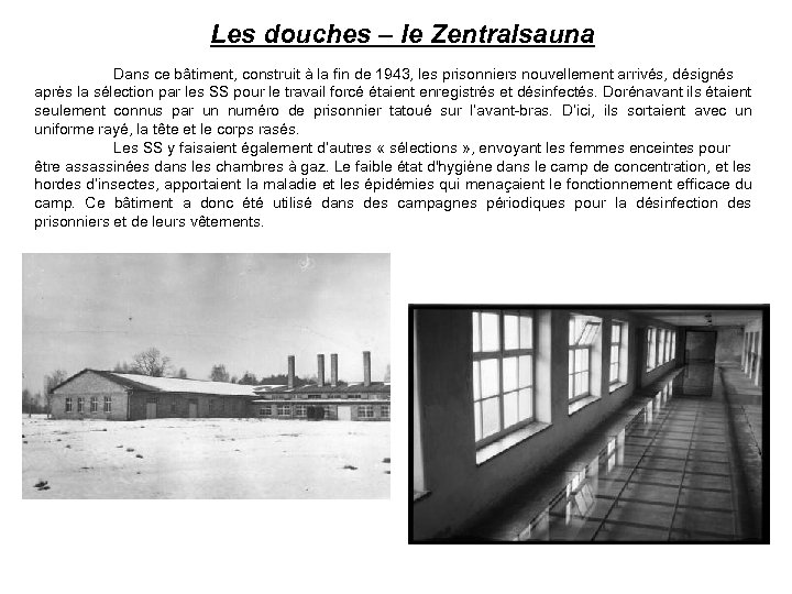 Les douches – le Zentralsauna Dans ce bâtiment, construit à la fin de 1943,