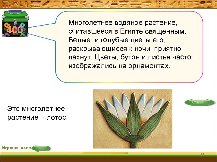 400 Многолетнее водяное растение, считавшееся в Египте священным. Белые и голубые цветы его, раскрывающиеся