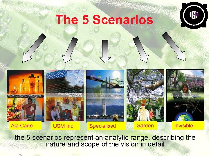 The 5 Scenarios Ala Carte USM Inc. Specialised Garden Invisible the 5 scenarios represent