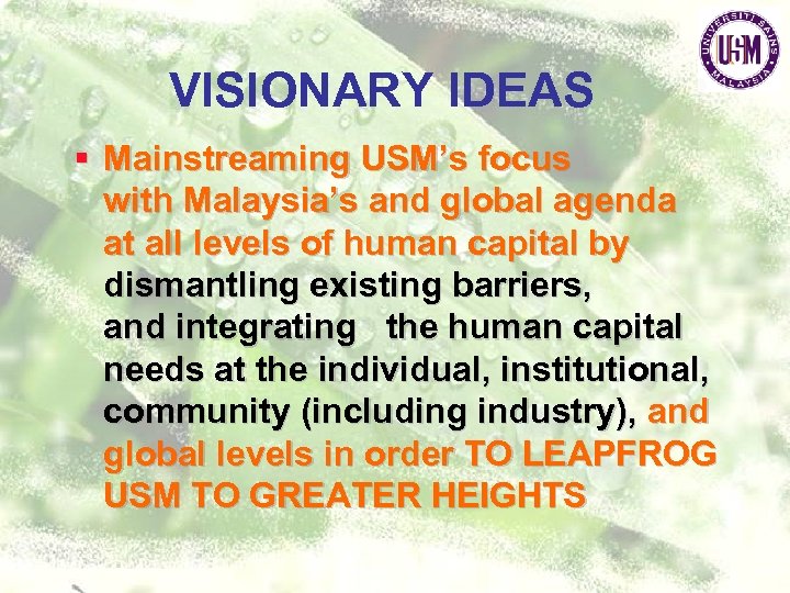 VISIONARY IDEAS § Mainstreaming USM’s focus with Malaysia’s and global agenda at all levels