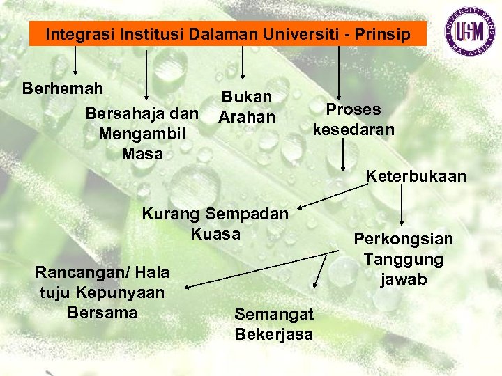 Integrasi Institusi Dalaman Universiti - Prinsip Berhemah Bersahaja dan Mengambil Masa Bukan Arahan Proses