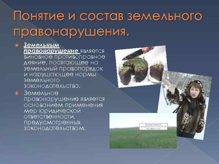 Понятие и состав земельного правонарушения. Земельным правонарушение является виновное противоправное деяние, посягающее на земельный