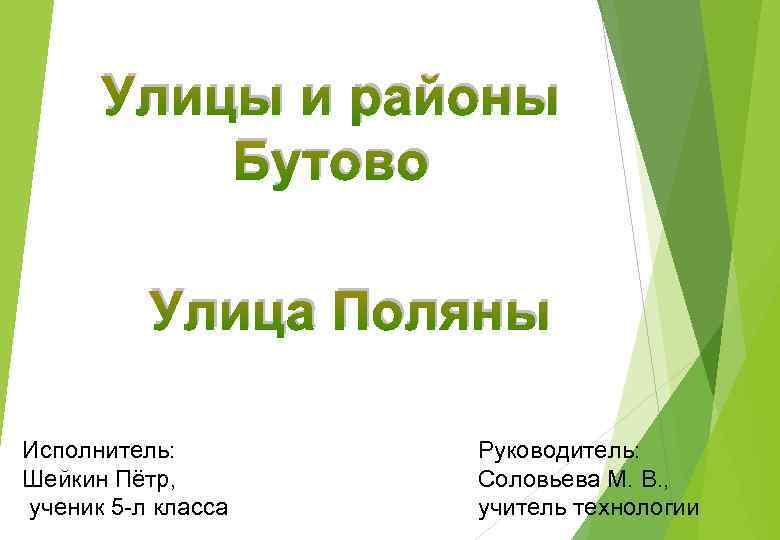 Улицы и районы Бутово Улица Поляны Исполнитель: Шейкин Пётр, ученик 5 -л класса Руководитель: