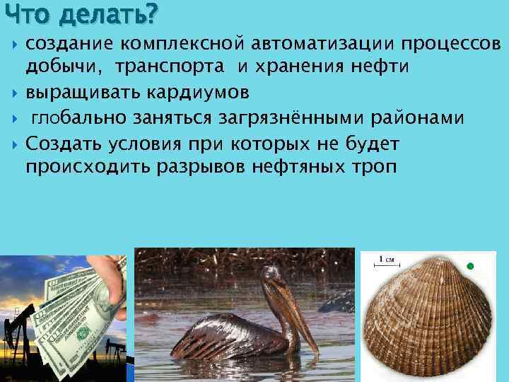 Что делать? создание комплексной автоматизации процессов добычи, транспорта и хранения нефти выращивать кардиумов глобально