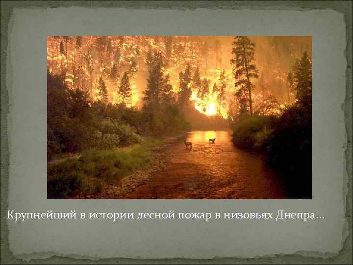 Крупнейший в истории лесной пожар в низовьях Днепра. . . 