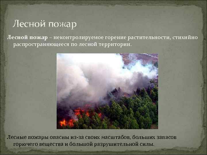 Лесной пожар – неконтролируемое горение растительности, стихийно распространяющееся по лесной территории. Лесные пожары опасны