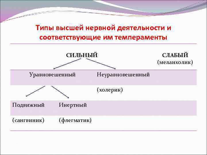 Типы высшей нервной деятельности и соответствующие им темпераменты СИЛЬНЫЙ Уравновешенный Неуравновешенный (холерик) Подвижный Инертный