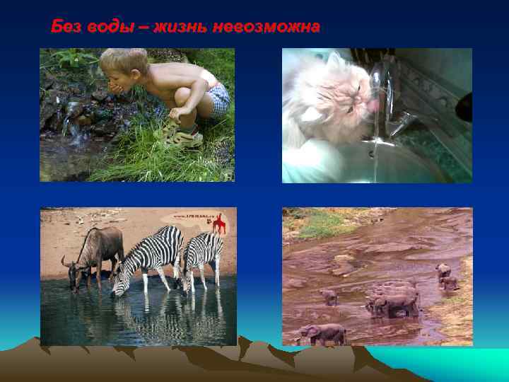 Без воды – жизнь невозможна 