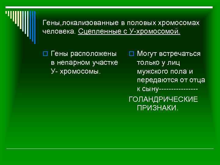 Гены, локализованные в половых хромосомах человека. Сцепленные с У-хромосомой. o Гены расположены в непарном