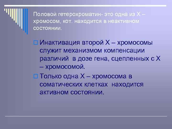 Половой гетерохроматин- это одна из Х – хромосом, кот. находится в неактивном состоянии. o
