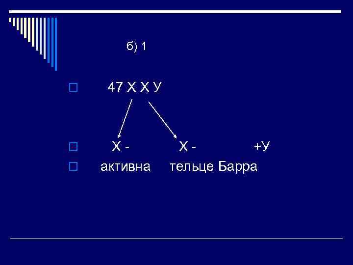 б) 1 o o o 47 Х Х У Хактивна Х+У тельце Барра 