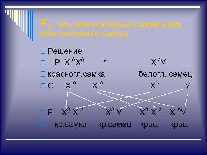 F 1: 50% КРАСНОГЛАЗЫЕ САМКИ И 50% КРАСНОГЛАЗЫЕ САМЦЫ o Решение: Р Х АХ