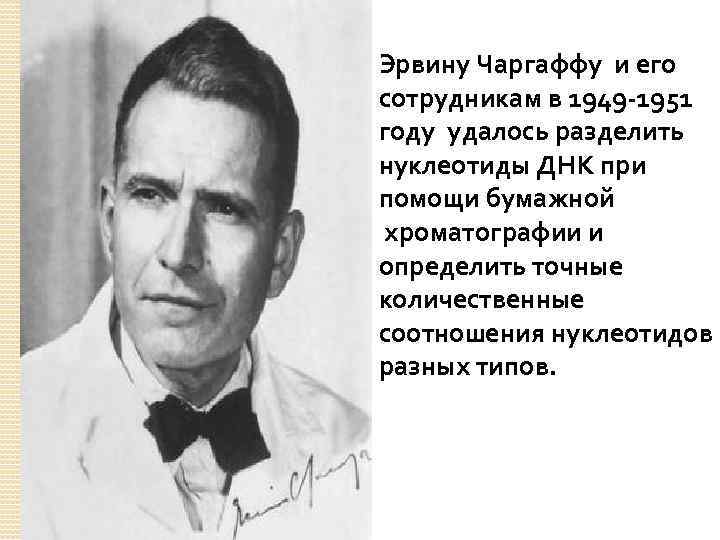 Эрвину Чаргаффу и его сотрудникам в 1949 -1951 году удалось разделить нуклеотиды ДНК при