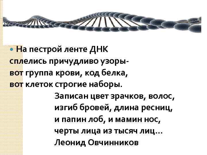 Дороги сплелись в тугой клубок влюбленных змей