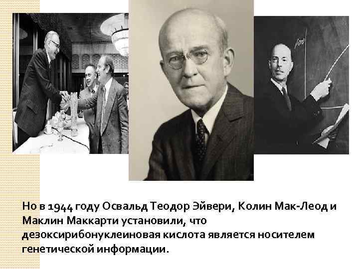 Но в 1944 году Освальд Теодор Эйвери, Колин Мак-Леод и Маклин Маккарти установили, что