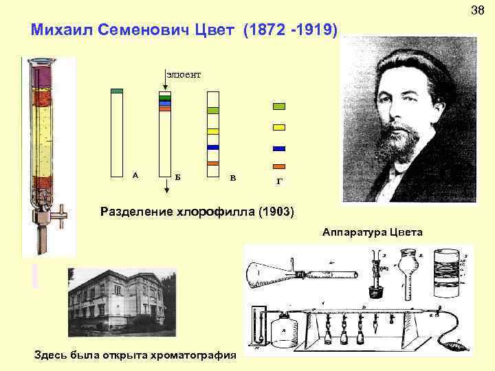 Хроматография химия презентация