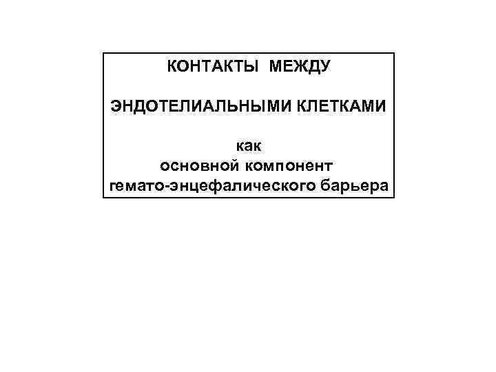 КОНТАКТЫ МЕЖДУ ЭНДОТЕЛИАЛЬНЫМИ КЛЕТКАМИ как основной компонент гемато-энцефалического барьера 