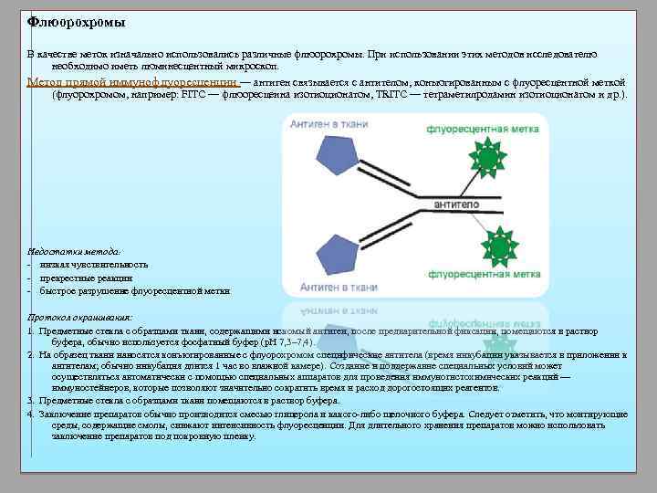 Иммуногистохимические методы презентация