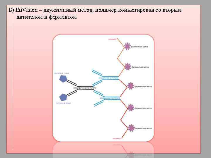 Иммуногистохимические методы презентация