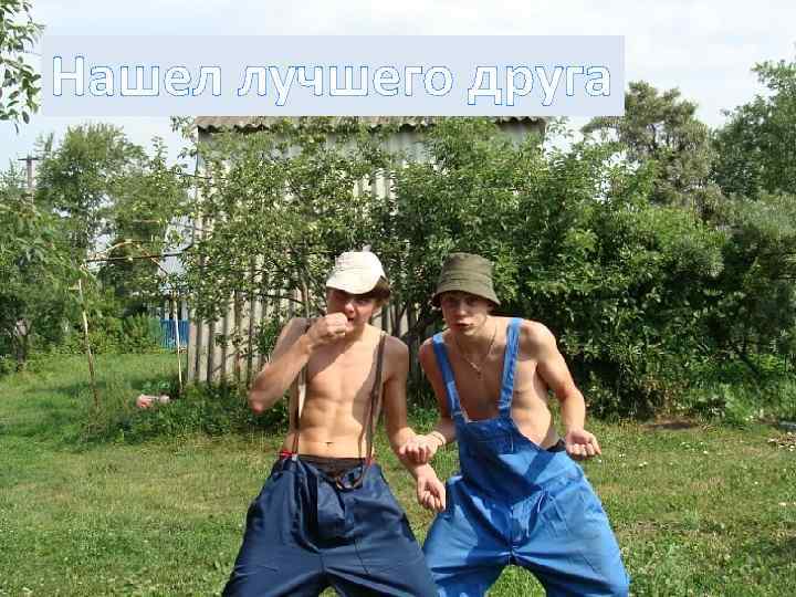 Нашел лучшего друга 